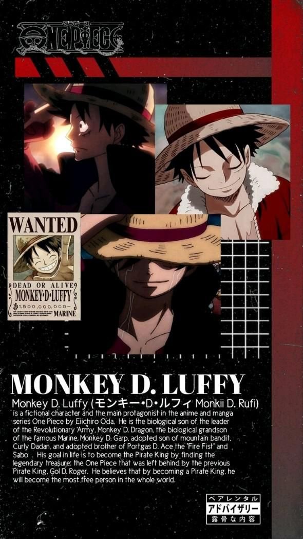 Monkey D Luffys Fate In Death Note Explained